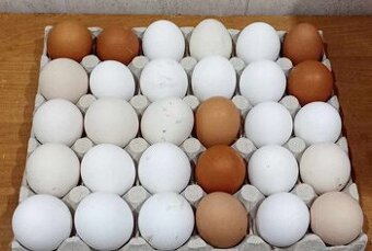 Predám domáce vajíčka