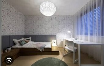 Hľadám izbu pre jednu osobu v Trnave 250 alebo 300€