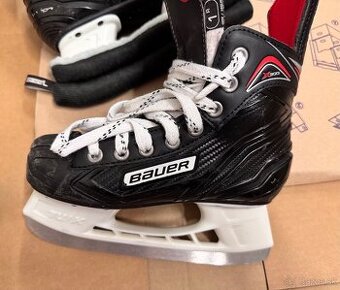 Korčule Bauer v.33,5