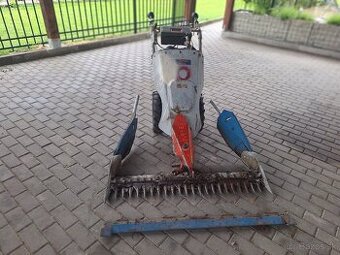 Kosacka jicin