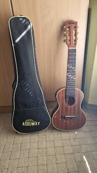 Predam Elektroakusticke guitalele