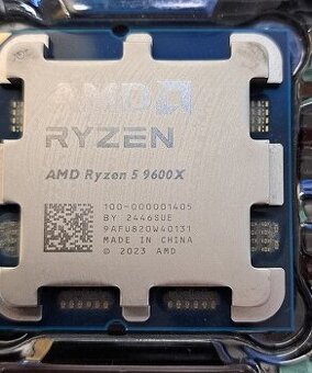 AMD Ryzen 5 9600X