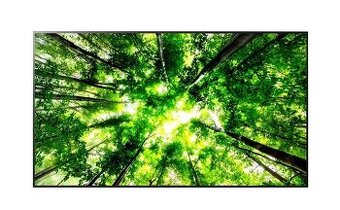 LG OLED55C8