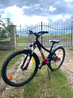 Myka dánske bicykel