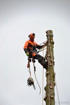 Arboristika, rizikové výruby a orezy stromov