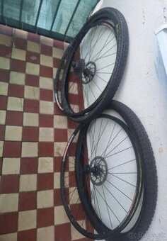 Kolesá 29 Disc Brake