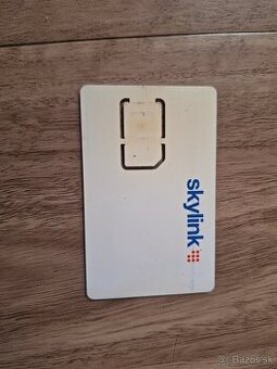 Skylink karta