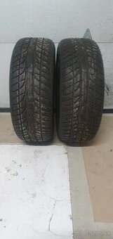 2x letné pneu Dayton D320 205/55 r16