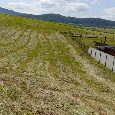 Pozemok na predaj – Kapušany pri Prešove