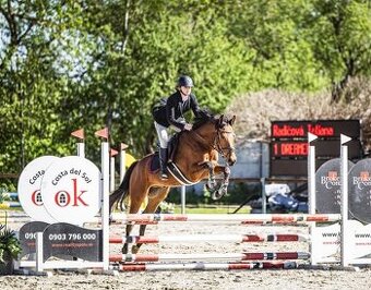 5r valach - milý amaterský koník, parťak, skokan
