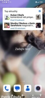 Predám čisto krvného nemeckého ovčiaka