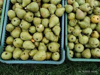 Predám Hrušky a Jablka