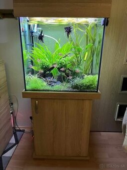 Komplet akvarium 150L