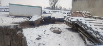 Vietnamské prasiatka