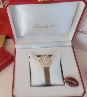 Elegantné hodinky v luxusnom štýle - kompletné balenie