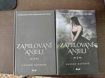 Zamilovani anjeli