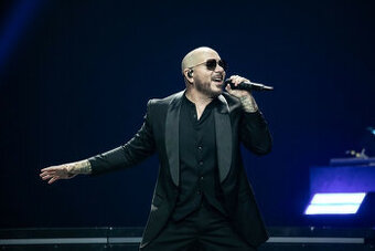 Pitbull Krakow - státie