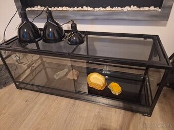 Terarium