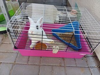Klietka + trpasličí králik