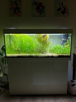 Juwel RIO 240 LED