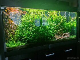 Akvárium,skrinka,filter oase