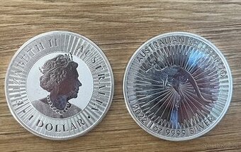 Strieborná minca rok 2022