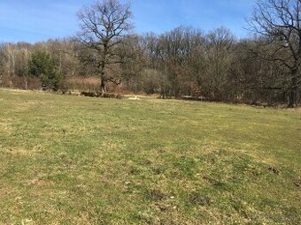 Prenajmem NADHERNY VELKY SLNECNY rovina- pozemok v Teriakov