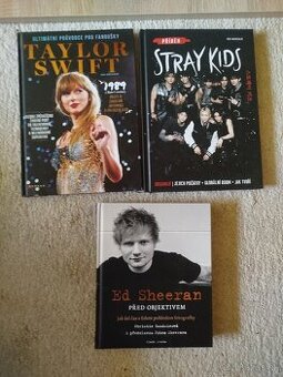 Taylor Swift,Ed Sheeran,Stray Kids