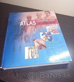 Atlas lidského těla v obrazech