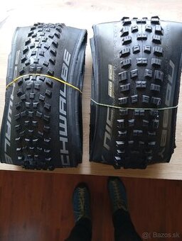 SCHWALBE