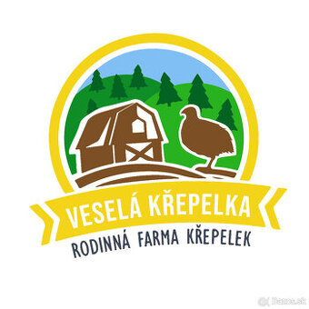 Anglická Černá křepelka - Vejce do líhně - SUPER KRÁSNÁ