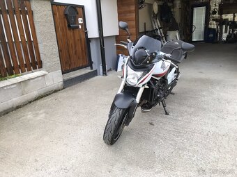Predam Honda Hornet CB 600 f 74kw