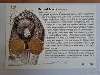 Autorska karta medved hnedy