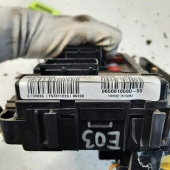 BSM B2 Peugeot 206 Citroen 9650618580 SIEMENS