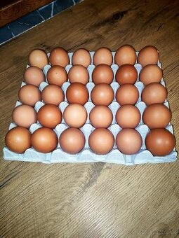 Domáce vajíčka