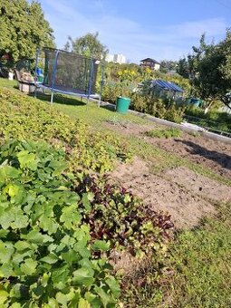 Záhrada na sídl. Mier, Sp. Nová Ves