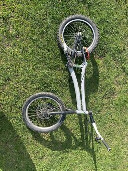 trial bike monty