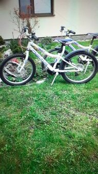 Bicykel 20