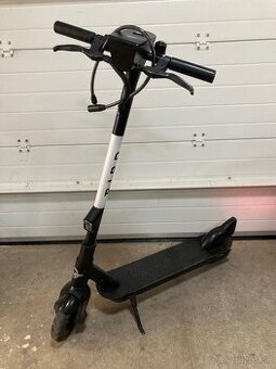 BIRD 350W