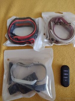Mini band 5