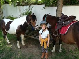 welsh  krasne kobylky