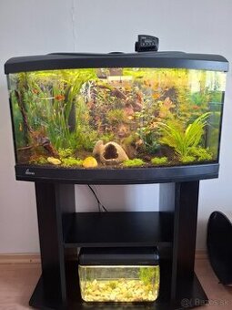 Akvárium Diversa 112l so stolíkom