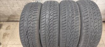 195/65R15  zimne