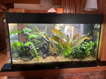 Akvarium 125