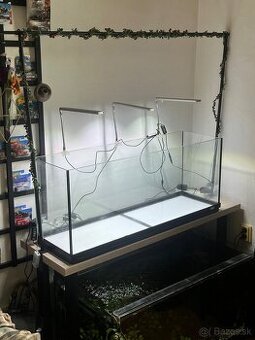 Akvarium - 1