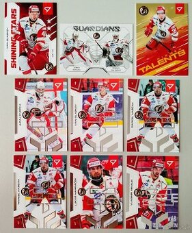 Hokejové kartičky SLOVENSKÁ HOKEJOVÁ LIGA 24/25 - HC PREŠOV