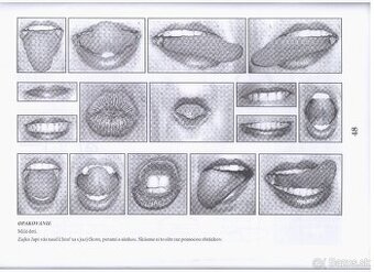 logopedia po cievnych prihodach