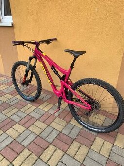 Santa Cruz