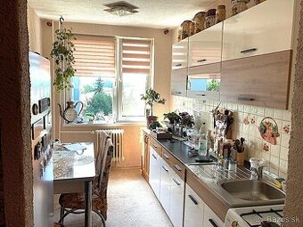 Veľký 3 izb.byt s lodžiou 73 m2, Mierova, Strážske - 1