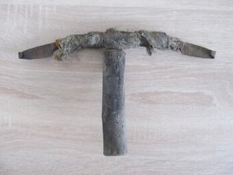 Predám starý cca 95 ročný " pahovník"